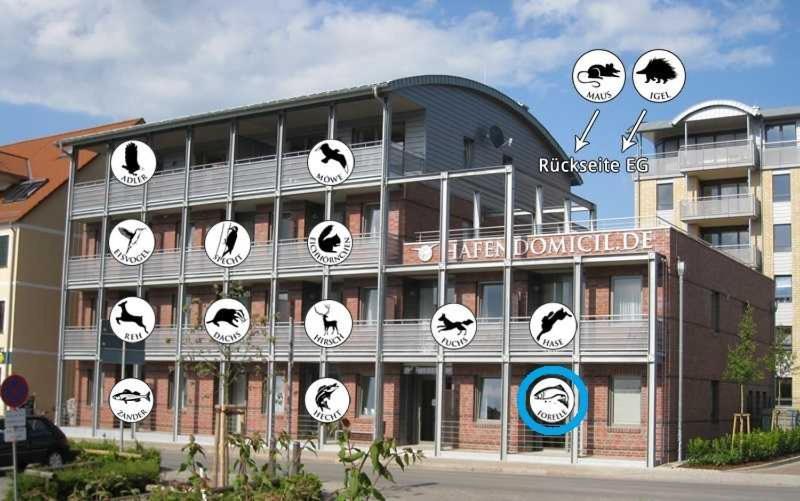 Hafendomicil Appartement Wh01 - Forelle Waren  Exterior photo